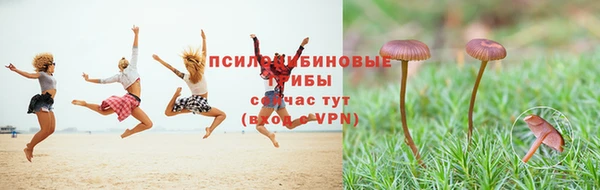 ПСИЛОЦИБИНОВЫЕ ГРИБЫ Абаза