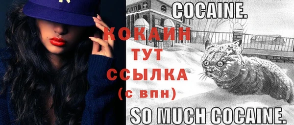 ПСИЛОЦИБИНОВЫЕ ГРИБЫ Абаза
