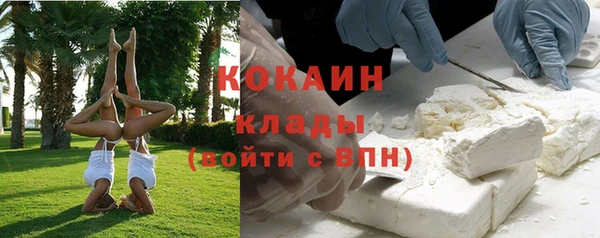 ПСИЛОЦИБИНОВЫЕ ГРИБЫ Абаза
