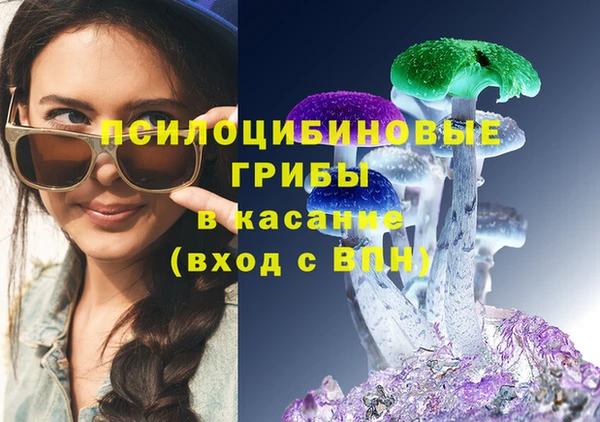 спиды Алзамай