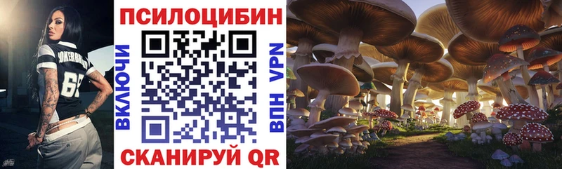 Псилоцибиновые грибы Magic Shrooms  Истра 